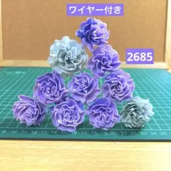 ソラフラワー　2685