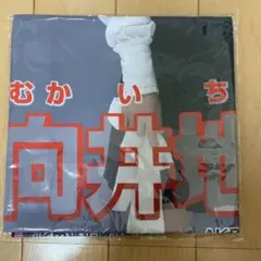 Item thumbnail for item 6f271b00-3a83-4496-8dd6-2963bf71ac3c