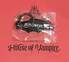ENHYPEN House of Vampire カプセルトイ ジョンウォン