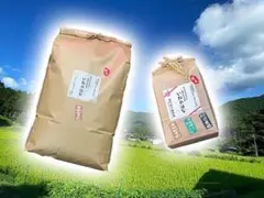 【はぜ掛け/天日干し】農薬不使用 令和7年産「いねのはな」選べる3品種 2kgのサムネイル
