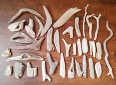 流木 素材 多様な形状 35個セット　No.63