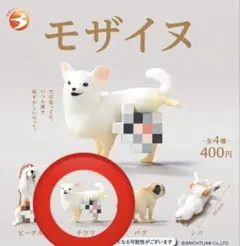 チワワ カプセルトイ