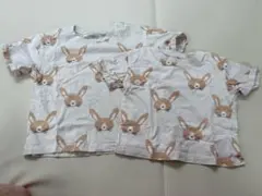 うさぎ トップス