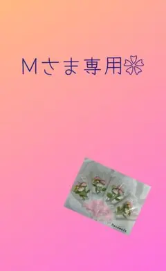 Мさま専用❀