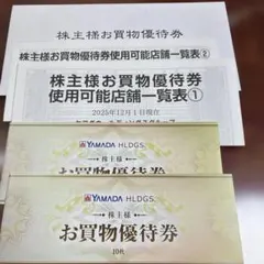 ヤマダ電機 お買物優待券 10,000円分 株主優待券
