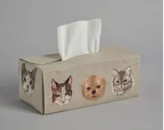 2025年最新】Coral & Tusk ティッシュボックスの人気アイテム