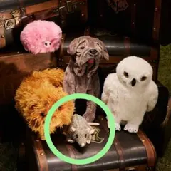 ハリー・ポッター スキャバーズ ぬいぐるみ