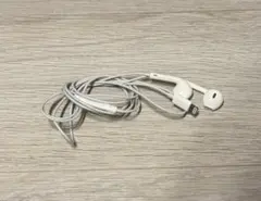 iPhone　イヤホン　純正　ライトニング　有線イヤホン
