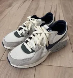 Nike Air Max ホワイト/グレー/ネイビー 26.0cm