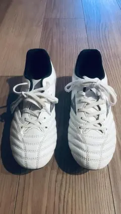 ミズノ スパイク シューズ