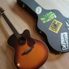 Takamine NPT-012BS アコースティックギター