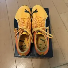 プーマ)PUMA ONE (ワン)20.1 HG レイソル細谷サイン付き - メルカリ