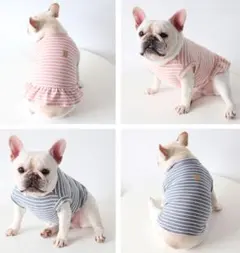 2023新作　犬服　フレンチブルドッグ　タンクトップ　スカート　オシャレ