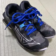 Mizuno バレーボールシューズ ウェーブライトニングZ8 25.0cm
