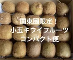 関東圏限定！小玉キウイフルーツコンパクト便　⑥