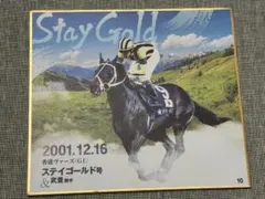 2026年最新】ステイゴールド 競馬の人気アイテム - メルカリ