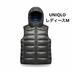 Item thumbnail for item faf38ada-fe36-4f01-9110-89cbf56a6564