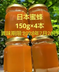 日本蜜蜂 生蜂蜜 ミツバチ 国産純粋はちみつ 非加熱 #4 宮城県産のサムネイル