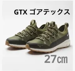 MIZUNOウォーキングシューズ ウエーブエボーク GTX ゴアテックス 防水