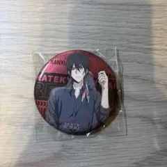 リボーン アニメイトフェア 特典 缶バッジ ザンザス