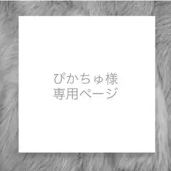 ぴかちゅ様専用ページ　あみぐるみキーホルダー