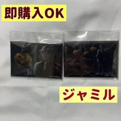 ツイステ　ハロウィン　アニメーション缶バッジコレクション　ジャミルセット