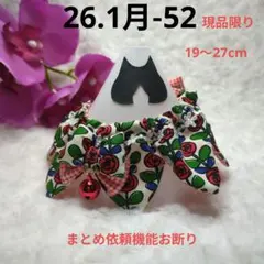 Item thumbnail for item 700b8cde-7078-4f34-a0a5-25e49abbb001