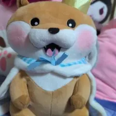 可愛い嘘のカワウソ 誕生日だぬ！ BIGぬいぐるみ アミューズメント景品