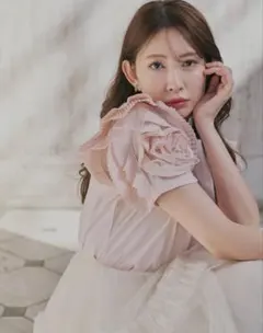 Herlipto Vol.2 Rose Sleeve Top - メルカリ