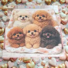 ガーゼハンカチ ハンドメイド パネル生地 犬柄 女の子とトイプードル 2