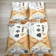 【レバンナ様専用】宮城県産 令和7年度 つや姫 20kgのサムネイル