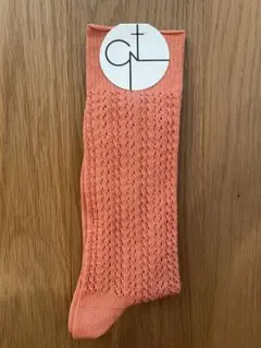 Item thumbnail for item ec9fdcc0-21aa-428d-bdd0-1e808e155c50