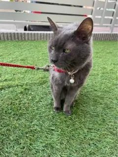 こっこ様写真確認用