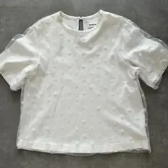 MUVEIL WORK ドット柄 チュール 半袖Tシャツのサムネイル