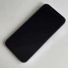 Apple iPhone 13 Pro シエラブルー 本体
