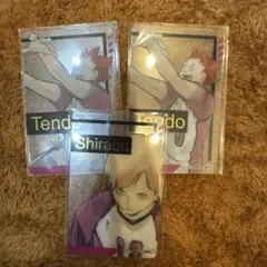 ハイキュー‼︎ ファンパーク 箔押しクリアカード　天童2 白布1