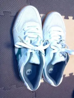 Item thumbnail for item b70c6fb1-0586-48a6-955a-2469cde8563d