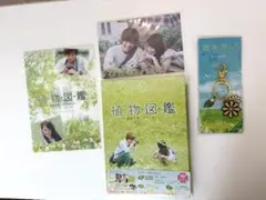 植物図鑑 運命の恋、ひろいました 初回限定生産版 特典付き