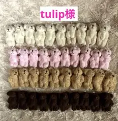tulip様用セット