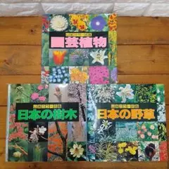 愛知県樹木誌 - メルカリ