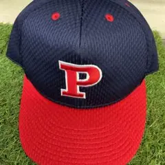 Item thumbnail for item 4e18ebeb-45e7-49a7-9314-dc5d1913e816