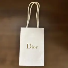 Dior ホワイトロゴバッグ即日発送！