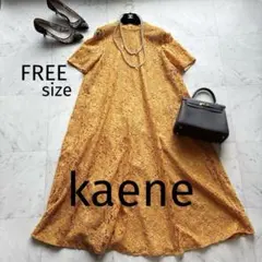 【美品】カエン、kaene、パイピング総レースAラインフレアワンピースドレスのサムネイル
