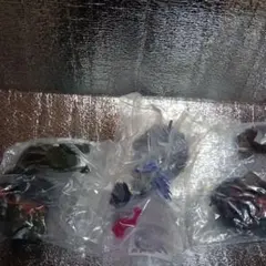 okameinko様専用　3体セット