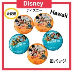 【非売品】Disney 缶バッジ 5個セット ハワイのサムネイル
