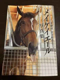 メイケイエール 写真集 一生懸命、全力疾走 競馬 写真集