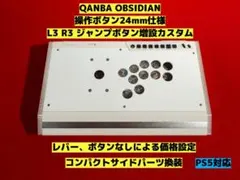 QANBA OBSIDIAN 操作ボタン24mm仕様 ボタン増設カスタム