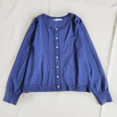 ドゥクラッセ ラメラインカーディガン XXL 3L 大きいサイズ 青