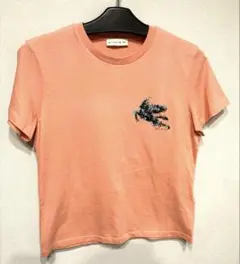 美品☆ETRO エトロ　半袖Tシャツ　PEGASOベガソ　フラワー　刺繍　42