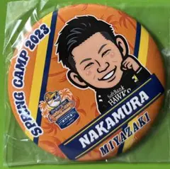 Item thumbnail for item b3cb6d5d-bdea-4484-a734-7e6961c8e1c9